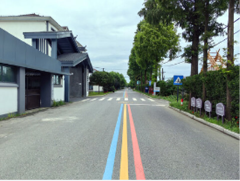 六安市·乡村马路